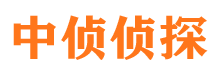 金湖寻人公司